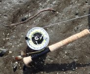 IMG_4987.jpeg IMG_4987.jpeg