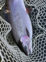 IMG_8158.jpeg