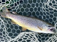 IMG_8139.jpeg
