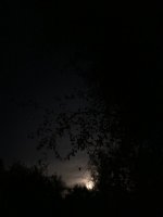 IMG_3606.jpeg