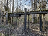 IMG_1672.jpeg