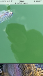 3C218B1C-9237-45DA-A25A-7EF301A99D3B.png