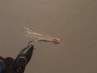 IMG_20231001_172920561.jpg