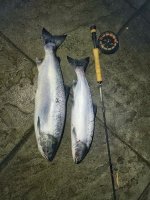 IMG_0464.jpeg