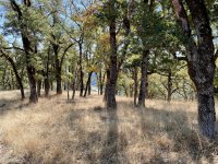 IMG_2416.jpeg