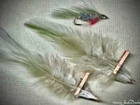 IMG_1119 2.jpg