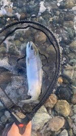 IMG_2449.jpeg