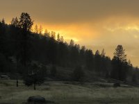 IMG_8137.jpeg