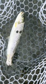 IMG_7857.jpeg