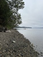 IMG_7860.jpeg