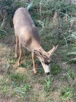 IMG_3034.jpeg