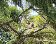 IMG_5028.jpeg