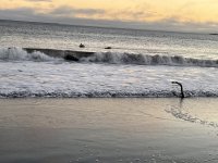 IMG_3038.jpeg IMG_3038.jpeg