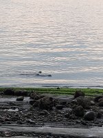 20231005_071529.jpg