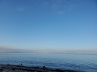 20231005_081559.jpg