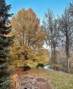 IMG_3640.jpeg