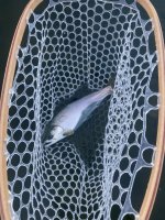 IMG_2475.jpeg