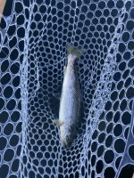 IMG_2479.jpeg