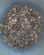 IMG_8922.jpeg