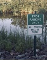 IMG_5035.jpeg