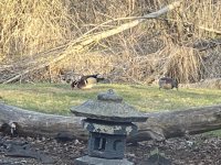 IMG_1681.jpeg IMG_1681.jpeg