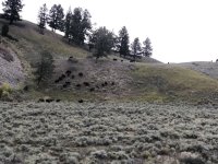 00795C1A-DD6D-47F1-AAD2-EED425760BF3.jpeg 00795C1A-DD6D-47F1-AAD2-EED425760BF3.jpeg