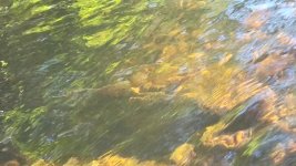 VideoCapture_20231007-092640.jpg