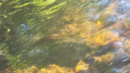 VideoCapture_20231007-092646.jpg