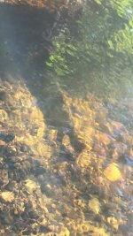 VideoCapture_20231007-092712.jpg