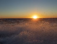 A02SunRiseSprayPA060020.jpg