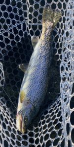 IMG_2492.jpeg
