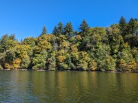 PXL_20231006_195941716 (1).jpg