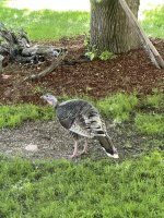 IMG_3422.jpeg IMG_3422.jpeg