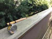 IMG_3418.jpeg