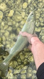 IMG_7932.jpeg