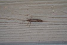 DSC00693.JPG