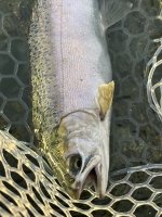 IMG_7938.jpeg