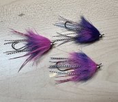 IMG_5167.jpeg