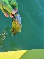 20231005_152847.jpg 20231005_152847.jpg