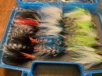 IMG_0830.jpeg