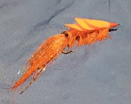 herk's steelhead prawn.jpg