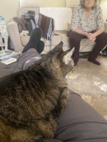 IMG_3994.jpeg