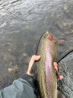 IMG_6459.jpeg