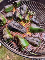 IMG_2003.jpeg
