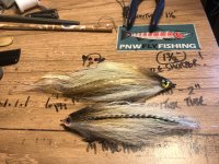 IMG_7340.jpeg