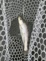 IMG_2577.jpeg