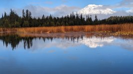 PXL_20231012_170626000.jpg