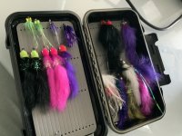 IMG_1650.jpeg
