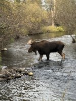 IMG_3669.jpeg