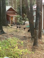 IMG_3493.jpeg